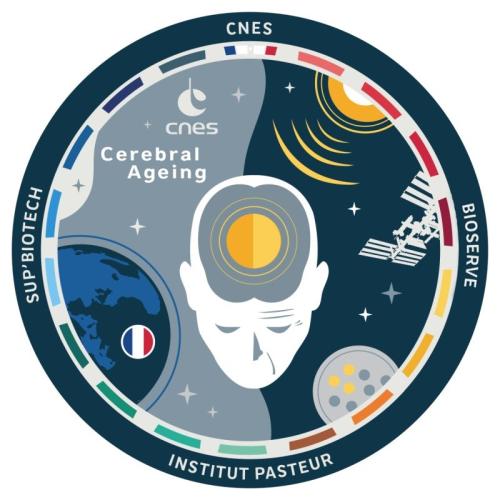 The official patch of the Cerebral Ageing Mission