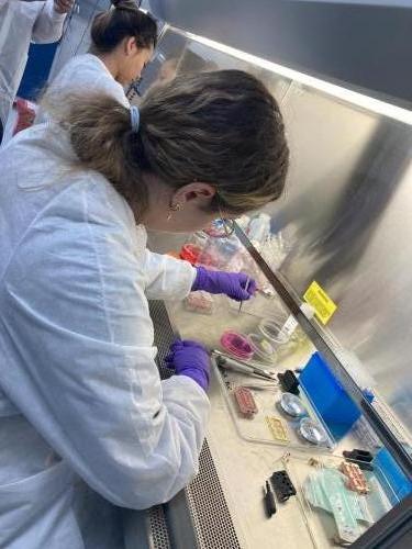 The big day : Tara and Lucie are preparing the organoids before the launch