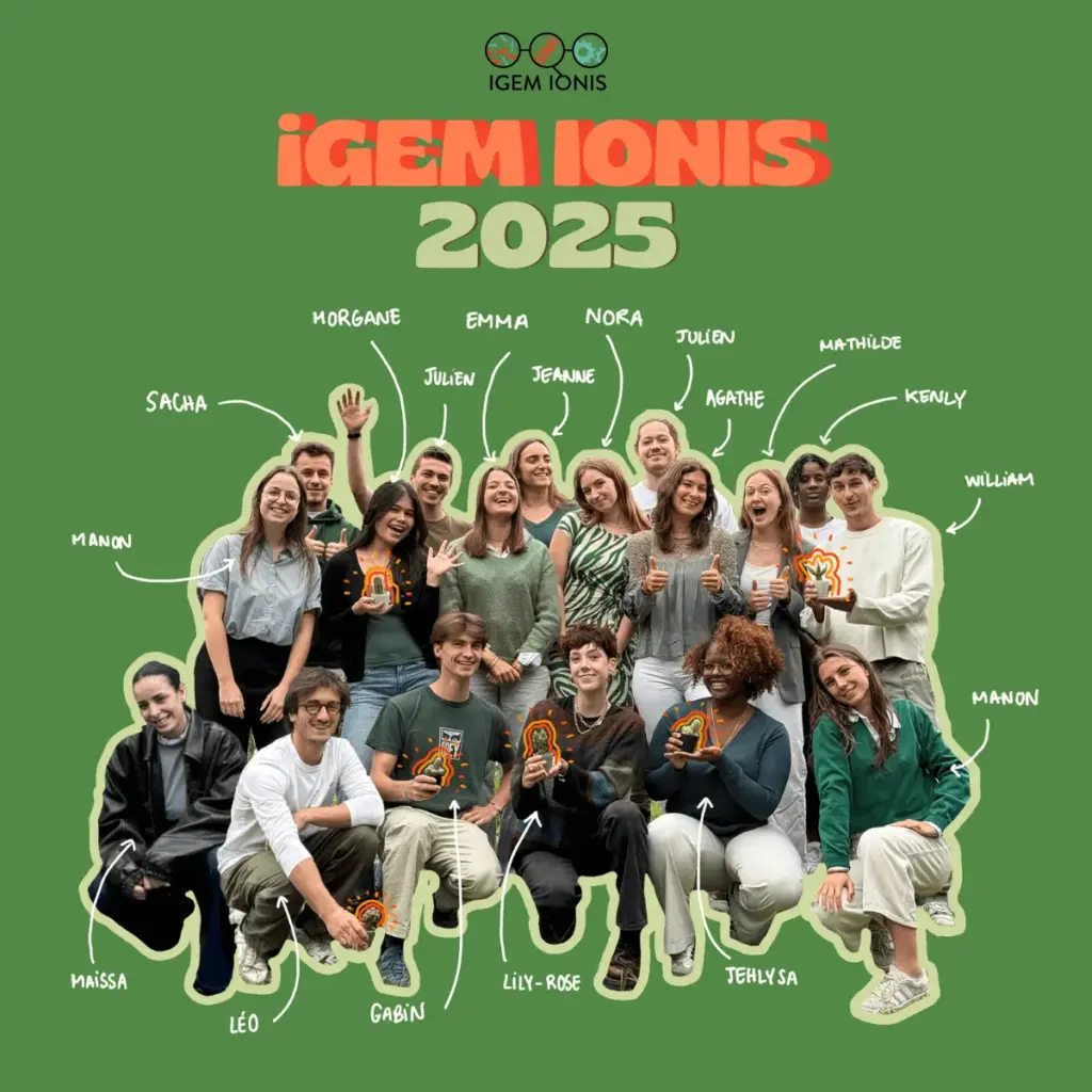 L'équipe de iGEM IONIS 2025 : 
Au 1er rang : Maissa Chelghoum, Léo Pariente, Gabin Verdier, Lily-Rose Charnley, Jehlysa Albert, Manon Calamel
Au 2e rang : Manon Perez, Morgane Inthavong, Emma Buzenac, Nora Durand, Agathe Porcheron, Mathilde Job, William Potie
Au 3e rang : Sacha Levy, Julien Decodts, Jeanne Bourgeois, Julien Mercy, Kenly Lujien