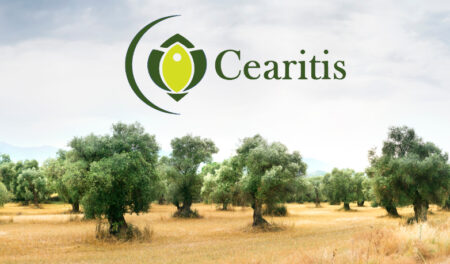 Cearitis, la start-up de Marion Canale (Sup'Biotech promo 2019) qui protège les oliviers