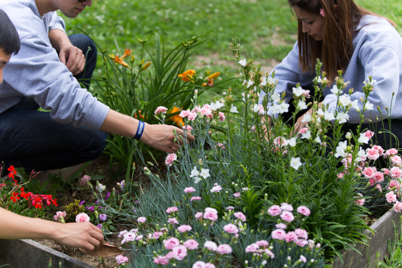 Formation, vie sur le campus… Sup'Biotech, une école plus durable !