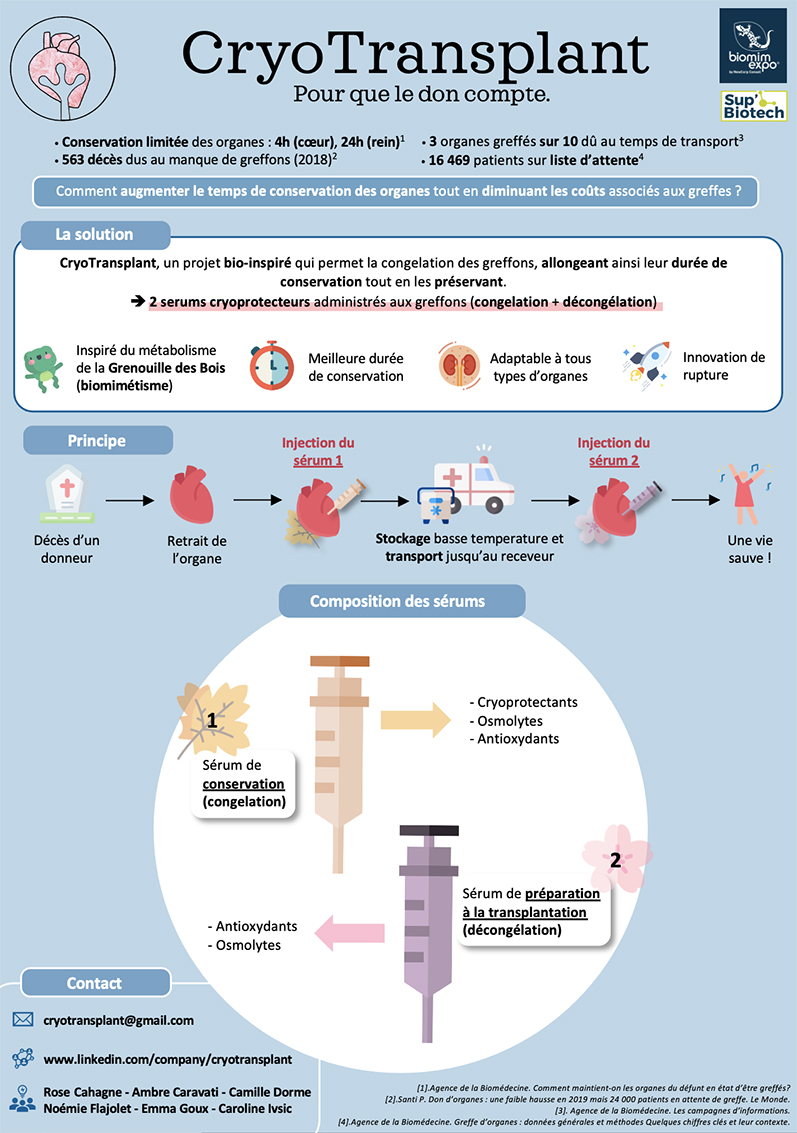 CryoTransplant : un projet étudiant de Sup’Biotech au service de la transplantation d’organes