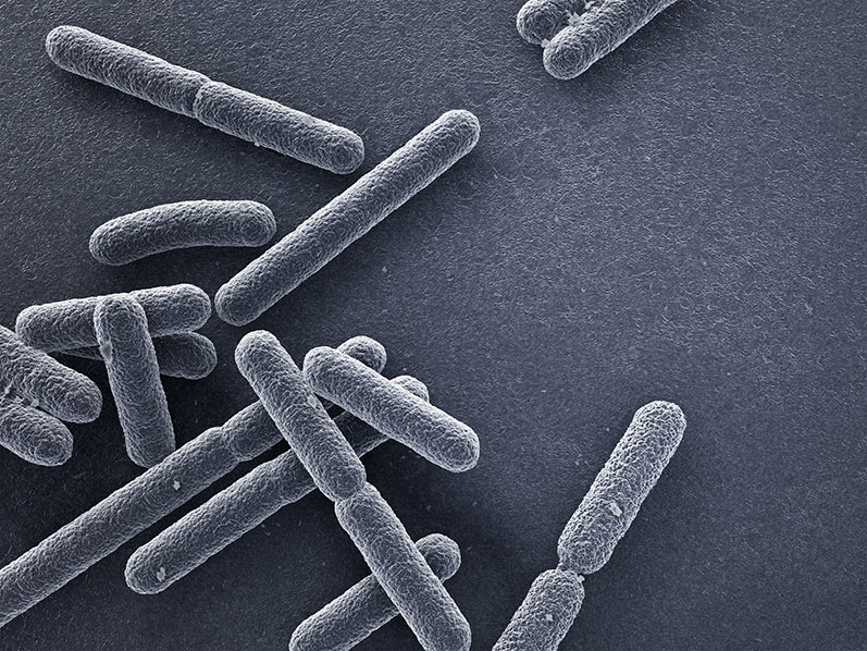 Découvrez Cobatect, le projet innovant et (sur)vitaminé de la nouvelle équipe iGEM IONIS !