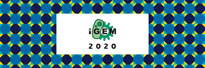 L’équipe iGEM IONIS dans les starting-blocks pour la grande finale !