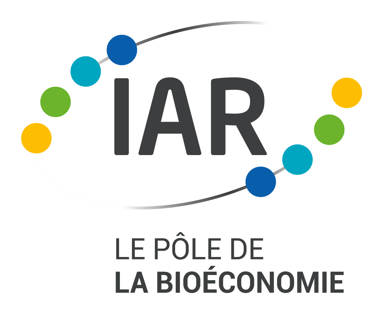 logo IAR
