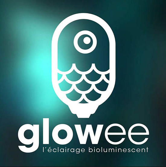 glowee_supbiotech_gilles_4e_annee_start-up_sbip_innovation_projet_etudes_etudiant_stage_bioluminescence_prix_molecule_bacteries_interview_crowdfunding_02.jpg