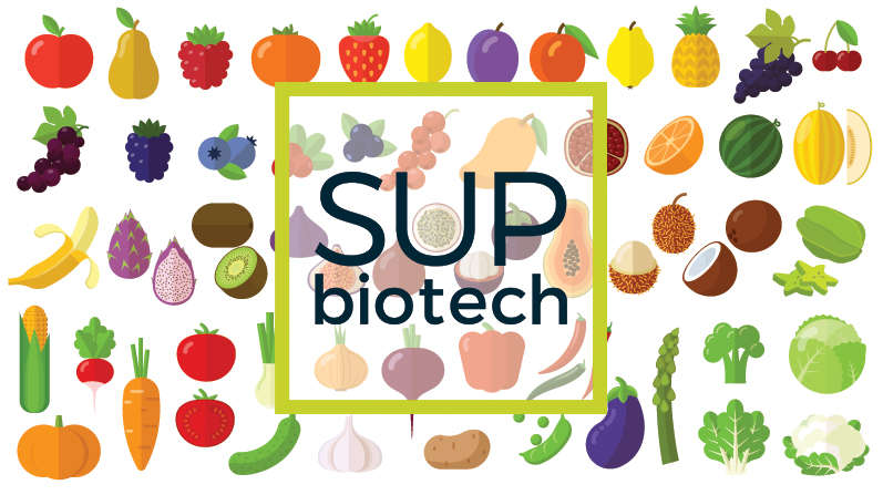 À la rentrée, Sup’Biotech inaugurera son laboratoire culinaire