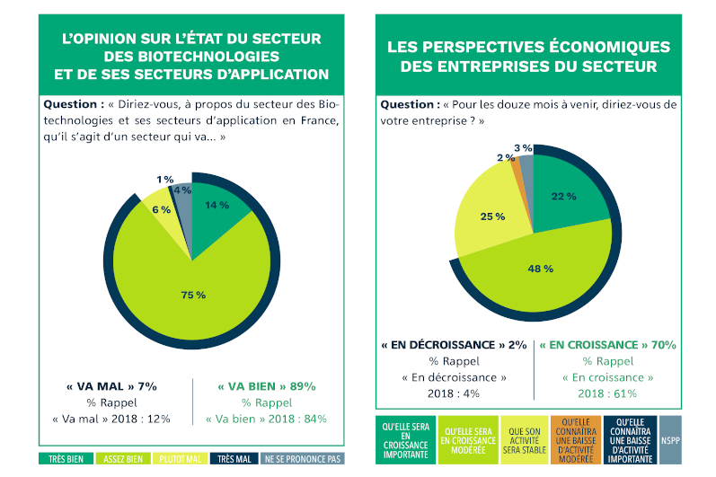 Emploi, croissance, tendances… Découvrez le deuxième Observatoire des métiers d’ingénieurs dans les Biotechnologies !