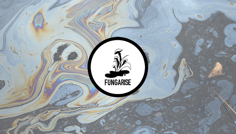 Pétrole & pollution : Fungarise, un SupBiotech Innovative Project qui veut dégrader durablement les déchets hydrocarbures avec des champignons !