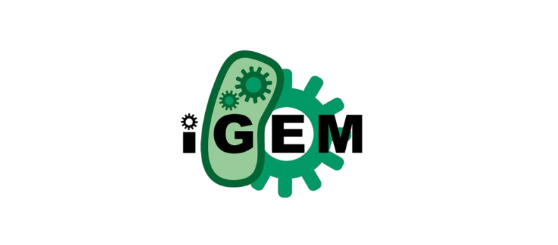 Aidez l’équipe iGEM IONIS 2022 et son projet StarchLight à viser la médaille d’or !