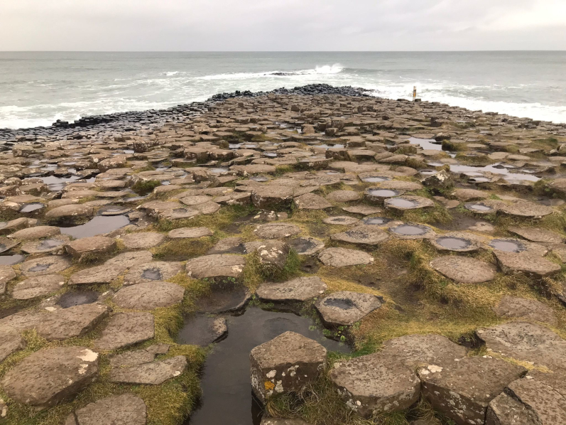 De Sup’Biotech à la Dublin City University : « une expérience inoubliable » !