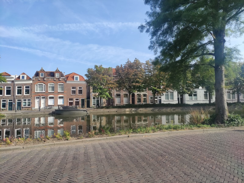 Un semestre international à la Radboud Universiteit aux Pays-Bas