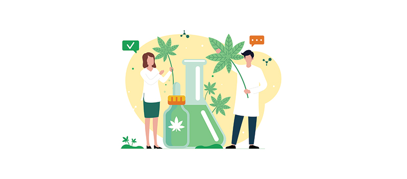 Et si le cannabis soignait le monde ? Le défi passionnant de Naomi et Héloïse, deux ingénieures de SupBiotech ! - STH Biotech