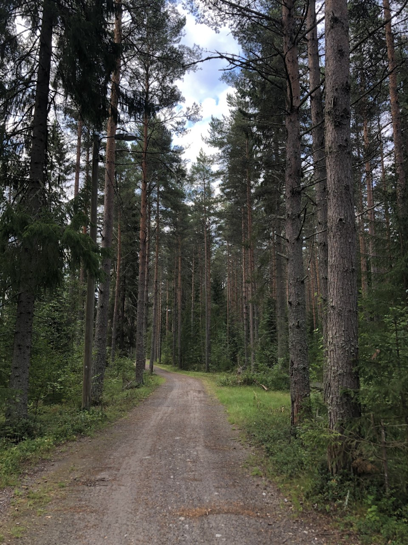 Une année internationale en Finlande : de Sup’Biotech à Kokkola
